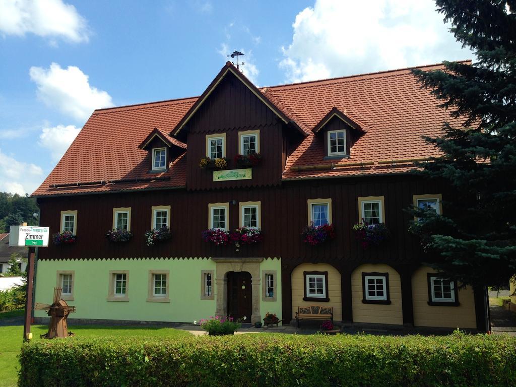 Pension Immergruen Kurort Jonsdorf Exterior foto